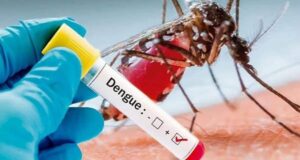 प्रदेश में इन दिनों बरसात के चलते मच्छरों से हुए डेंगू को काबू करने के लिए स्वास्थ्य विभाग के पास प्लेटलेट्स उपलब्ध… डॉ सरोज नैथानी